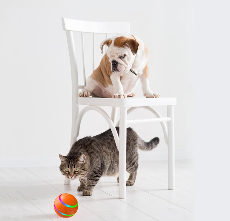“Smart Wicked Cat Ball – USB Rechargeable Interactive Toy”